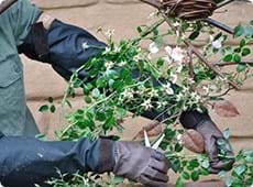 Medical Conditions & Benefits to You