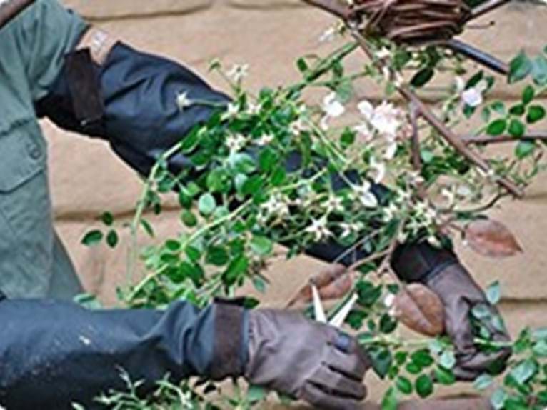 Medical Conditions & Benefits to You